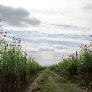 熟女浓密阴毛受不了说喜欢大鸡巴小伙

