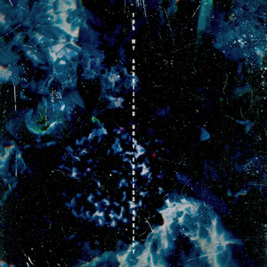 熟女浓密阴毛受不了说喜欢大鸡巴小伙
