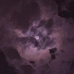 熟女浓密阴毛受不了说喜欢大鸡巴小伙
